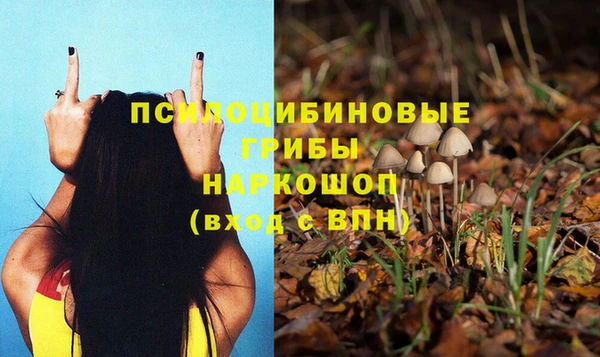 mdma Мурманск