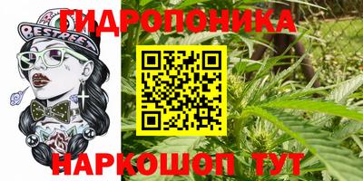дмт Заволжье